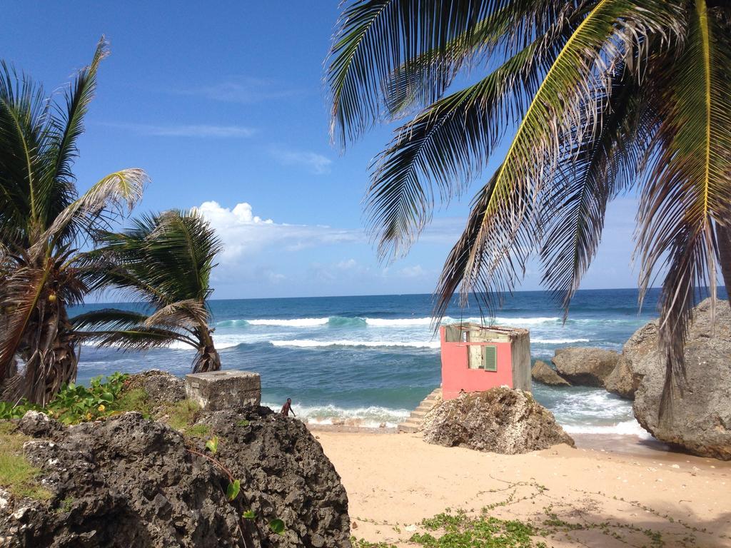 Eco Lifestyle And Lodge Bathsheba Exterior photo