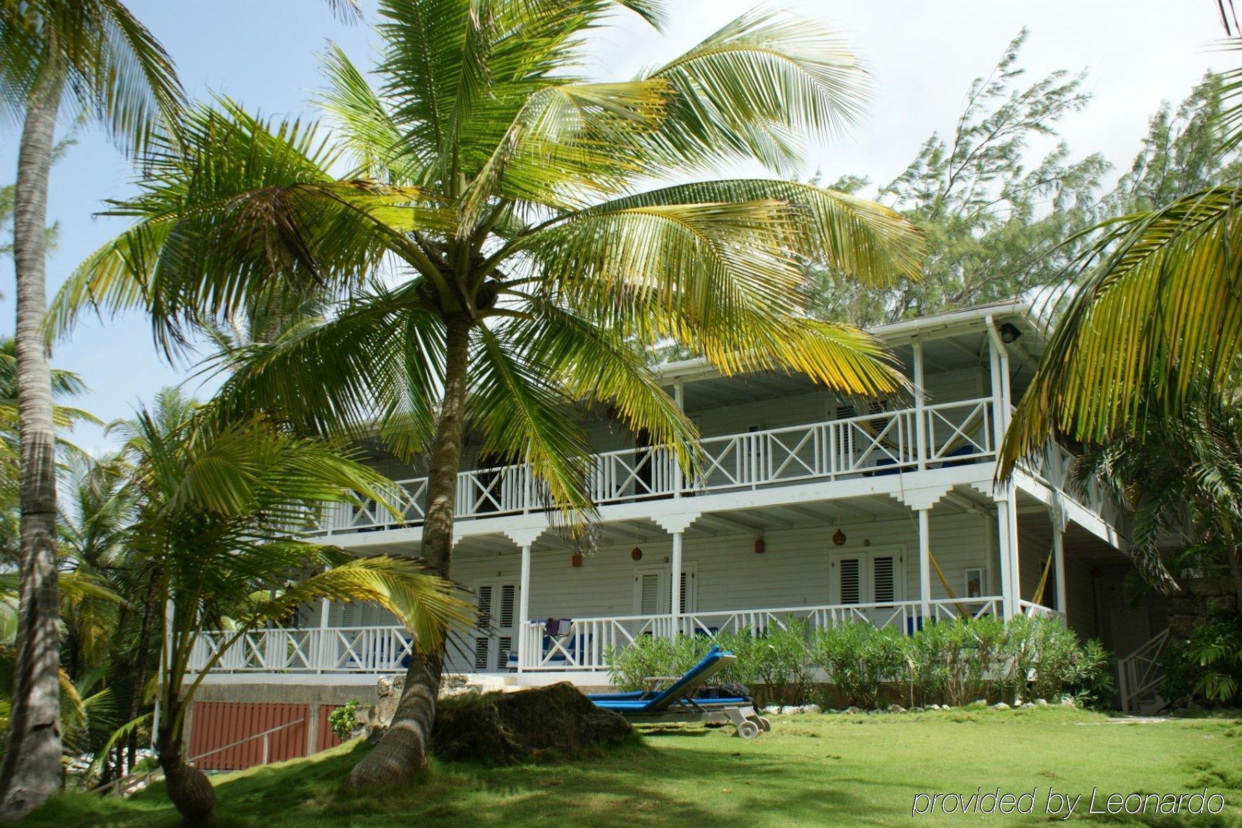 Eco Lifestyle And Lodge Bathsheba Exterior photo